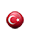 turkish